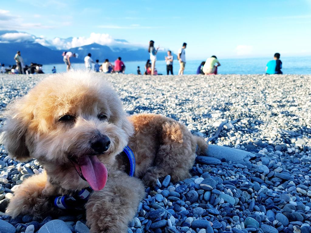 Bearbear Homestay Hualien Exterior foto